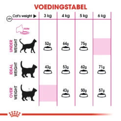 Royal Canin Protein Exigent Kat 4kg 7 Royal Canin Protein Exigent Kat 4kg -Dierenwinkel 0940f9380e24fd6977e0166039f34726c27c9abe12319f295b4029f84f5c8e3e 1