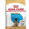 Royal Canin German Shepherd/Duitse Herder Puppy - Hondenvoer - 3kg 1 Royal Canin German Shepherd/Duitse Herder Puppy - Hondenvoer - 3kg -Dierenwinkel 17c54121c671f6cdfe28f38823b7d555834d2ee0902018a53cc90ac4abfd285e