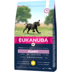 Eukanuba Puppy Large Breed - Hondenvoer Met Kip - 15kg