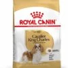 Royal Canin Cavalier King Charles Adult - Hondenvoer - 7,5 Kg