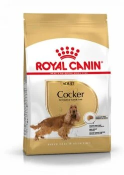 Royal Canin Cocker Adult - Hondenvoer - 3kg