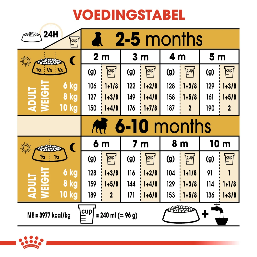 Royal Canin Pug/Mopshond Puppy - Hondenvoer - 1,5kg 5 Royal Canin Pug/Mopshond Puppy - Hondenvoer - 1,5kg - Image 3