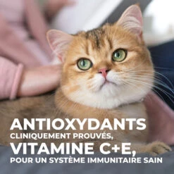 Hill's Science Plan Young Adult Sterilised - Kip - 1,5kg 22 Hill's Science Plan Young Adult Sterilised - Kip - 1,5kg -Dierenwinkel 513a5cf0d62442032d9ee55a67ec2324540993f1bdcabb32f01cb9250a0ec84f