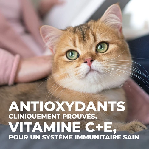 Hill's Science Plan Young Adult Sterilised - Kip - 1,5kg 12 Hill's Science Plan Young Adult Sterilised - Kip - 1,5kg - Image 10