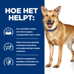 Hill's Prescription Diet I/d Digestive Care Hondenvoer Met Kip 16kg 12 Hill's Prescription Diet I/d Digestive Care Hondenvoer Met Kip 16kg -Dierenwinkel 52742043166 3 NL 1