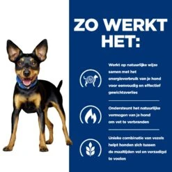 Hill's Prescription Diet Metabolic Kip- En Groentenstoofpotje Voor Hond 24x156g 11 Hill's Prescription Diet Metabolic Kip- En Groentenstoofpotje Voor Hond 24x156g -Dierenwinkel 52742047331 2 NL