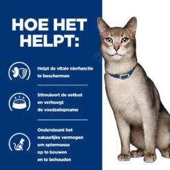 Hill's Hill’s Prescription Diet K/D – Kattenvoer Met Kip – Maaltijdzakjes 12x85g -Dierenwinkel 52742118710 3 NL