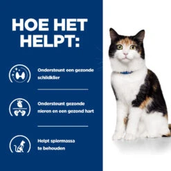 Hill's Hill’s Prescription Diet Y/D – Kattenvoer Met Kip – 24x156g 12 Hill's Hill’s Prescription Diet Y/D – Kattenvoer Met Kip – 24x156g -Dierenwinkel 52742149608 3 NL