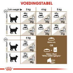 Royal Canin Ageing Sterilised 12+ Kattenvoer 2kg 6 Royal Canin Ageing Sterilised 12+ Kattenvoer 2kg -Dierenwinkel 5f20f428cff199b837abe829635c8558ea16652d07551d384e43428bf3a57718 2