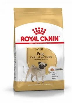 Nieuwe Producten 11 Royal Canin Pug/Mopshond Adult - Hondenvoer - 1,5kg