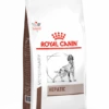 Royal Canin Hepatic - Hondenvoer - 6kg