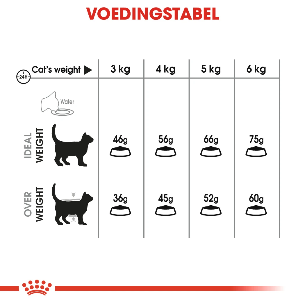 Royal Canin Dental Care Kattenvoer 8kg 13 Royal Canin Dental Care Kattenvoer 8kg - Image 11