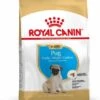Royal Canin Pug/Mopshond Puppy - Hondenvoer - 1,5kg 2 Royal Canin Pug/Mopshond Puppy - Hondenvoer - 1,5kg -Dierenwinkel 99d32243857e6cbb8677ea6a83edd8a1d42014abd1f3b77e64512c0dcfbdf543