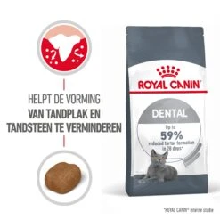 Royal Canin Dental Care Kattenvoer 3,5kg 14 Royal Canin Dental Care Kattenvoer 3,5kg -Dierenwinkel Royal Canin Dental Care Kat NL 01