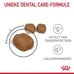 Royal Canin Dental Care Kattenvoer 8kg 16 Royal Canin Dental Care Kattenvoer 8kg -Dierenwinkel Royal Canin Dental Care Kat NL 04 1