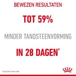 Royal Canin Dental Care Kattenvoer 8kg 17 Royal Canin Dental Care Kattenvoer 8kg -Dierenwinkel Royal Canin Dental Care Kat NL 05 1