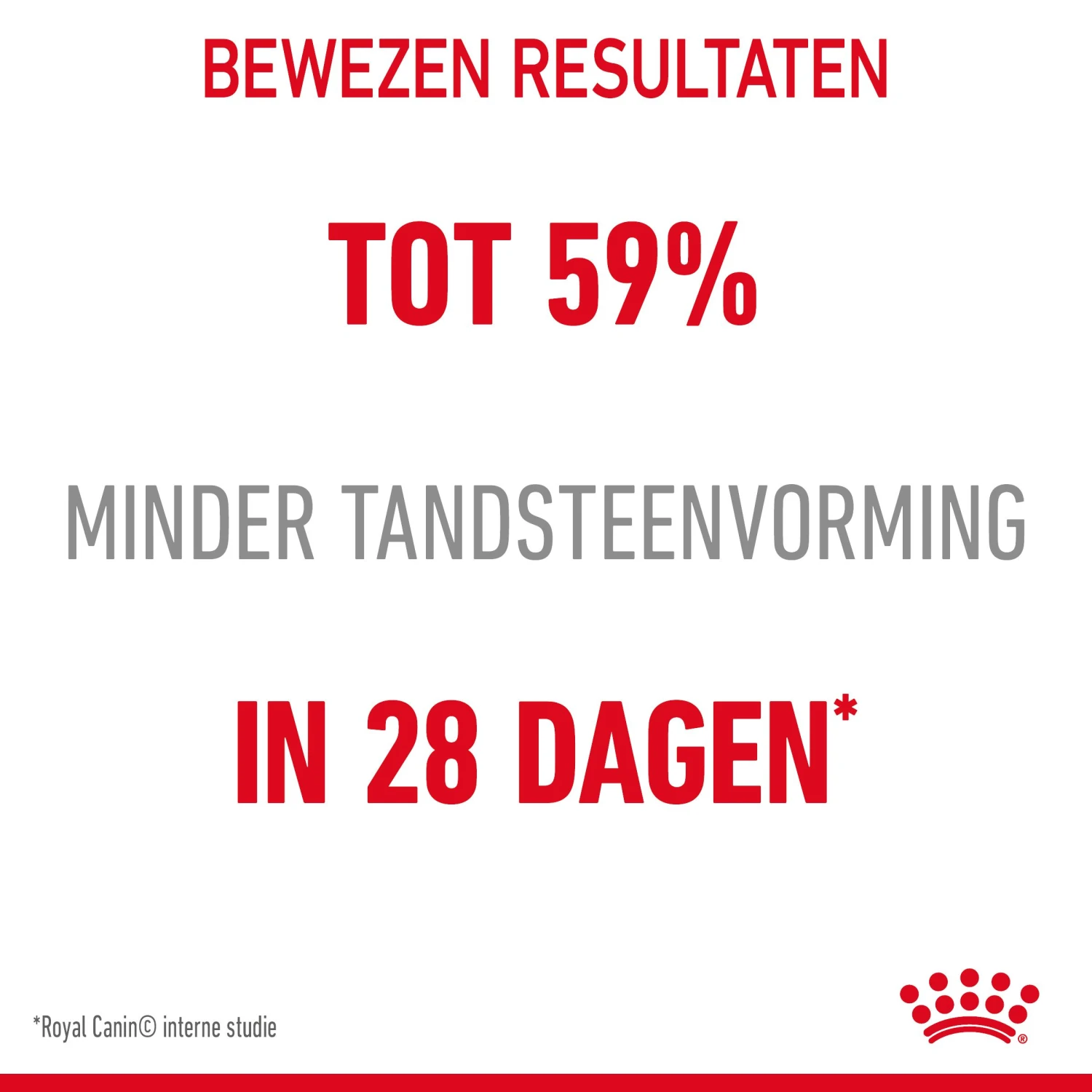 Royal Canin Dental Care Kattenvoer 8kg 7 Royal Canin Dental Care Kattenvoer 8kg - Image 5