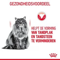 Royal Canin Dental Care Kattenvoer 3,5kg 18 Royal Canin Dental Care Kattenvoer 3,5kg -Dierenwinkel Royal Canin Dental Care Kat NL 06