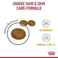 Royal Canin Hair & Skin Care Kattenvoer 2kg -Dierenwinkel Royal Canin Hair Skin Care Kat NL 05