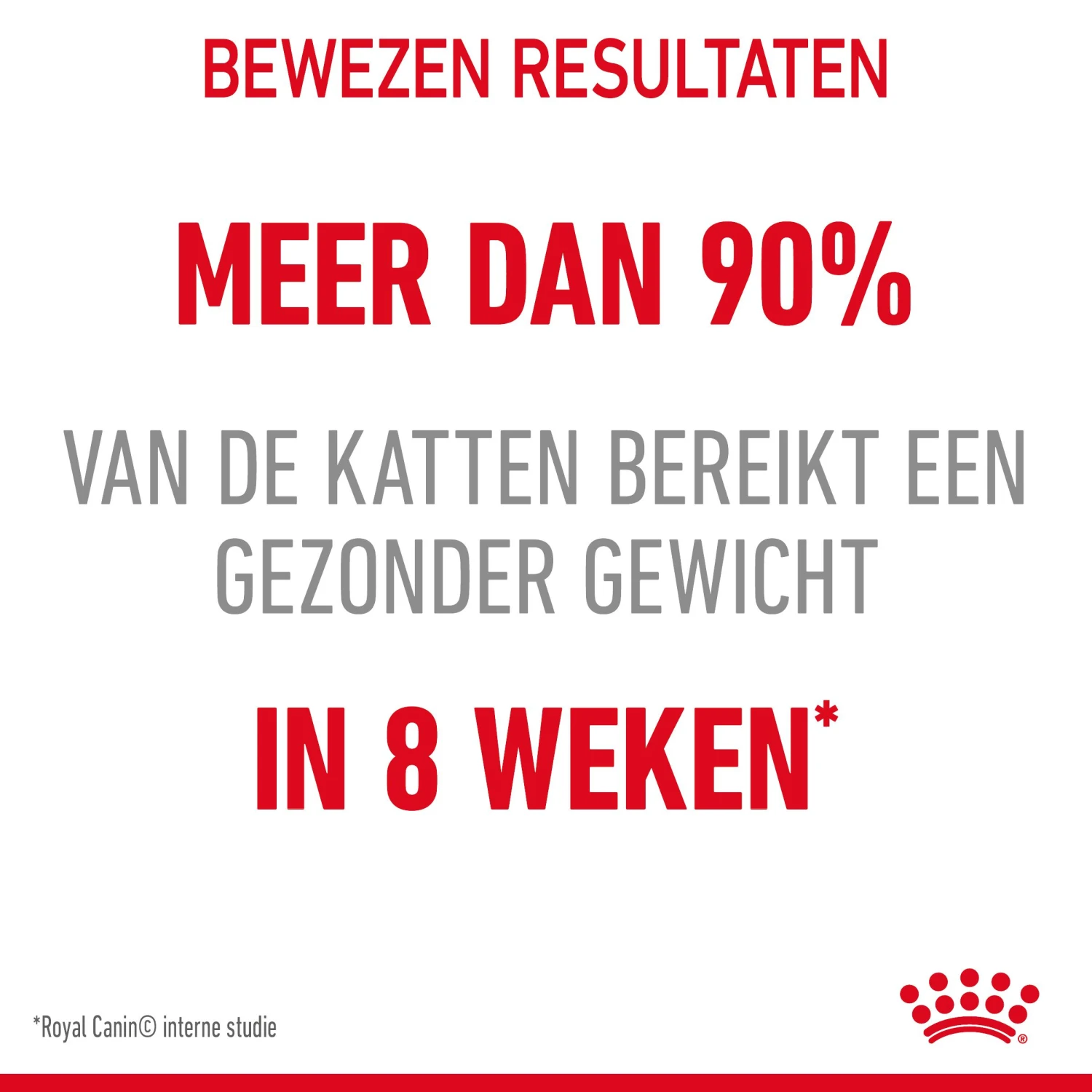 Royal Canin Light Weight Care Kattenvoer 8kg 8 Royal Canin Light Weight Care Kattenvoer 8kg - Image 6