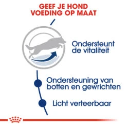 Royal Canin Maxi Adult 5+ Hondenvoer - 4kg -Dierenwinkel Royal Canin Maxi Adult 5plus Hond NL 4