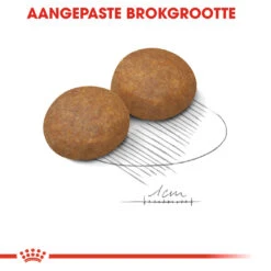 Royal Canin Maxi Adult 5+ Hondenvoer - 4kg -Dierenwinkel Royal Canin Maxi Adult 5plus Hond NL 5