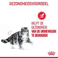 Royal Canin Urinary Care Kattenvoer 10kg 20 Royal Canin Urinary Care Kattenvoer 10kg -Dierenwinkel Royal Canin Urinary Care Kat NL 07