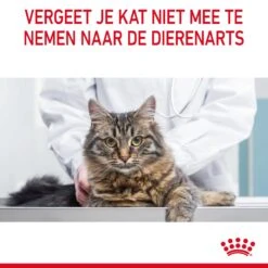 Royal Canin Urinary Care Kattenvoer 10kg 24 Royal Canin Urinary Care Kattenvoer 10kg -Dierenwinkel Royal Canin Urinary Care Kat NL 11