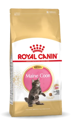 Royal Canin Maine Coon Kitten Kat 10kg