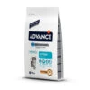 Affinity Advance 2x10kg Advance Kitten Kattenvoer 1 Affinity Advance 2x10kg Advance Kitten Kattenvoer -Dierenwinkel advance kitten high protein kattenvoer