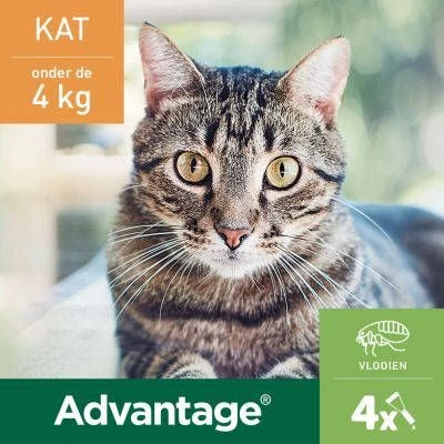 Advantage 2 X 4 Pipetten Â, ®, 40 Voor Katten Van Minder Dan 4 Kg Dubbelpak 8 Advantage 2 X 4 Pipetten Â, ®, 40 Voor Katten Van Minder Dan 4 Kg Dubbelpak - Image 6