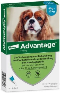 Advantage 100 Anti Vlooien En Teken Druppels Hond 4 10 Kg 4 Pipetten 1, 0 Ml 14 Advantage 100 Anti Vlooien En Teken Druppels Hond 4 10 Kg 4 Pipetten 1, 0 Ml -Dierenwinkel advantage 4 pipetten 100 voor honden van 4 10kg 107791