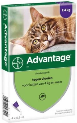 Advantage 2 X 4 Pipetten Â, ®, 80 Voor Katten Vanaf 4 Kg Dubbelpak 9 Advantage 2 X 4 Pipetten Â, ®, 80 Voor Katten Vanaf 4 Kg Dubbelpak -Dierenwinkel advantage 80 anti vlo kat vanaf 4kg 4 pip 0 8ml 26562