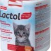 Beaphar Lactol Kitty Milk Melkvervanging 500 G 2 Beaphar Lactol Kitty Milk Melkvervanging 500 G -Dierenwinkel beaphar lactol kitty milk melkvervanging 500 g 29528