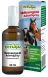 ECOstyle Melissengeist Ademspray 50 Ml