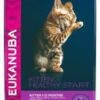 Eukanuba Healthy Start Kitten Kattenvoer Voordeelpakket 3 X 2 Kg 2 Eukanuba Healthy Start Kitten Kattenvoer Voordeelpakket 3 X 2 Kg -Dierenwinkel eukanuba kitten voor de kat 4 kg 3953