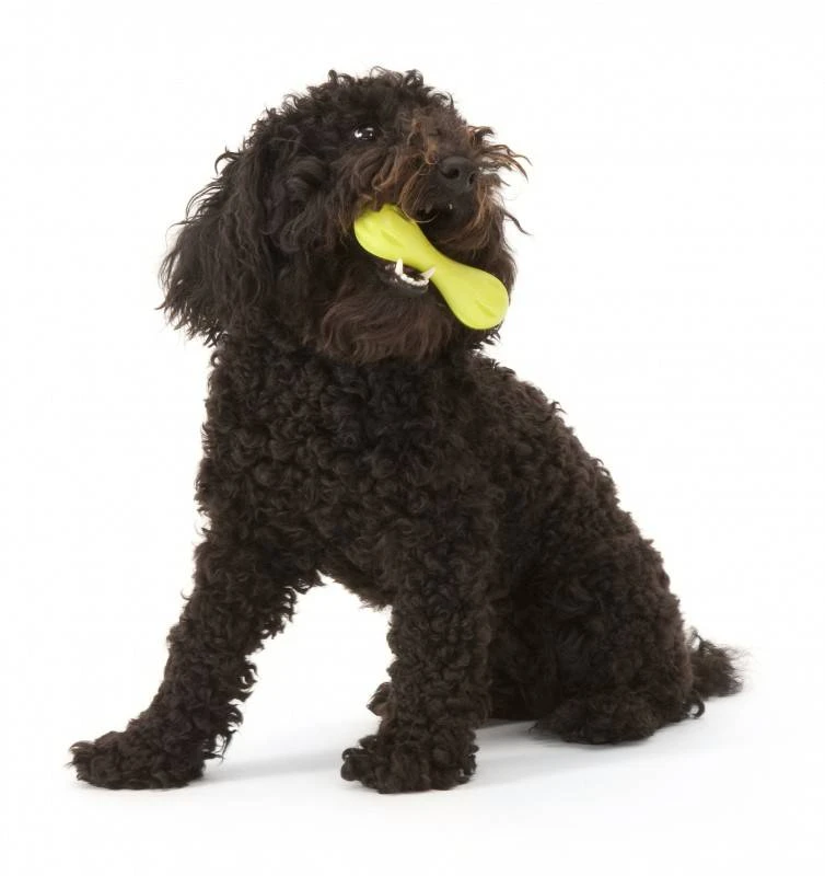 Zogoflex Hurley Dog Bone - Mini (XS) - Lime 3 Zogoflex Hurley Dog Bone - Mini (XS) - Lime