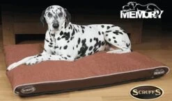 Scruffs Hilton Orthopaedic Large Hondenkussen Bruin 12 Scruffs Hilton Orthopaedic Large Hondenkussen Bruin -Dierenwinkel file 49