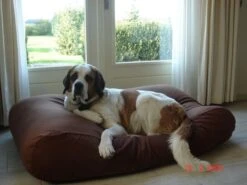 Hondenkussen Chocolade Bruin Superlarge