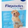 Flexadin Young Dog Maxi 60 Chews 1 Flexadin Young Dog Maxi 60 Chews -Dierenwinkel flexadyn 20young 20dog 20maxi 20b 20Medium