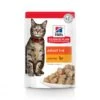 Hill's Science Plan Adult Maaltijdzakjes Met Kip - 12 X 85 Gram -Dierenwinkel hill s science plan adult maaltijdzakjes met kip 12 x 85 gram