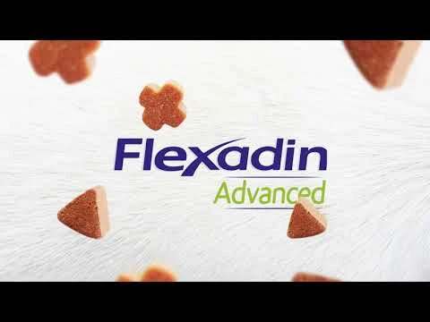 Flexadin Advanced Original 60 Chews 5 Flexadin Advanced Original 60 Chews - Image 3