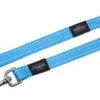 Rogz For Dogs Fanbelt Lijn Turquoise 1 Rogz For Dogs Fanbelt Lijn Turquoise -Dierenwinkel image 24