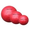 Jolly Bounce-n-Play (6 Inch) 15 Cm Rood -Dierenwinkel informatie over jolly bounce n play 15 cm rood bestellen medpets nl 3 1363172138 7412