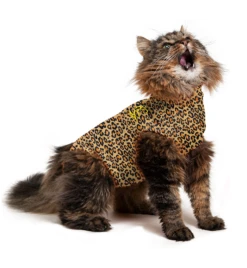 Medical Pet Shirt (Kat / Luipaardprint)