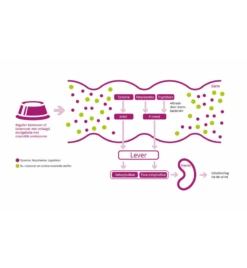 Porus One - 30 X 500 Mg 9 Porus One - 30 X 500 Mg -Dierenwinkel porus one 30 x 500 mg 3