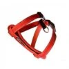 EzyDog Chest Plate Tuig - XS - Rood 2 EzyDog Chest Plate Tuig - XS - Rood -Dierenwinkel product ezydog chest plate tuig xs rood medpets 3 1400593509 11342