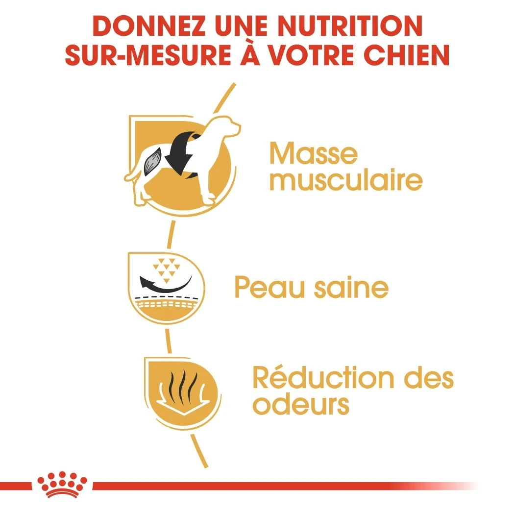 Royal Canin French Bulldog Adult - Hondenvoer - 9kg 6 Royal Canin French Bulldog Adult - Hondenvoer - 9kg - Image 4