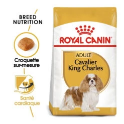 Royal Canin Cavalier King Charles Adult - Hondenvoer - 7,5 Kg 10 Royal Canin Cavalier King Charles Adult - Hondenvoer - 7,5 Kg -Dierenwinkel royal canin cavalier king charles adult cavalier king charles 1