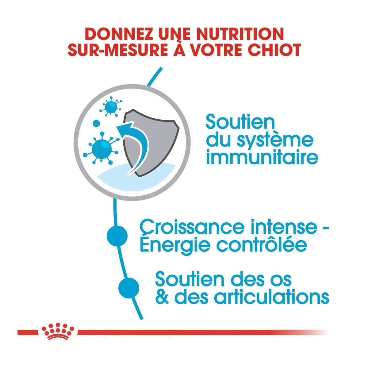 Royal Canin Giant Puppy - Hondenvoer - 15kg 6 Royal Canin Giant Puppy - Hondenvoer - 15kg - Image 4